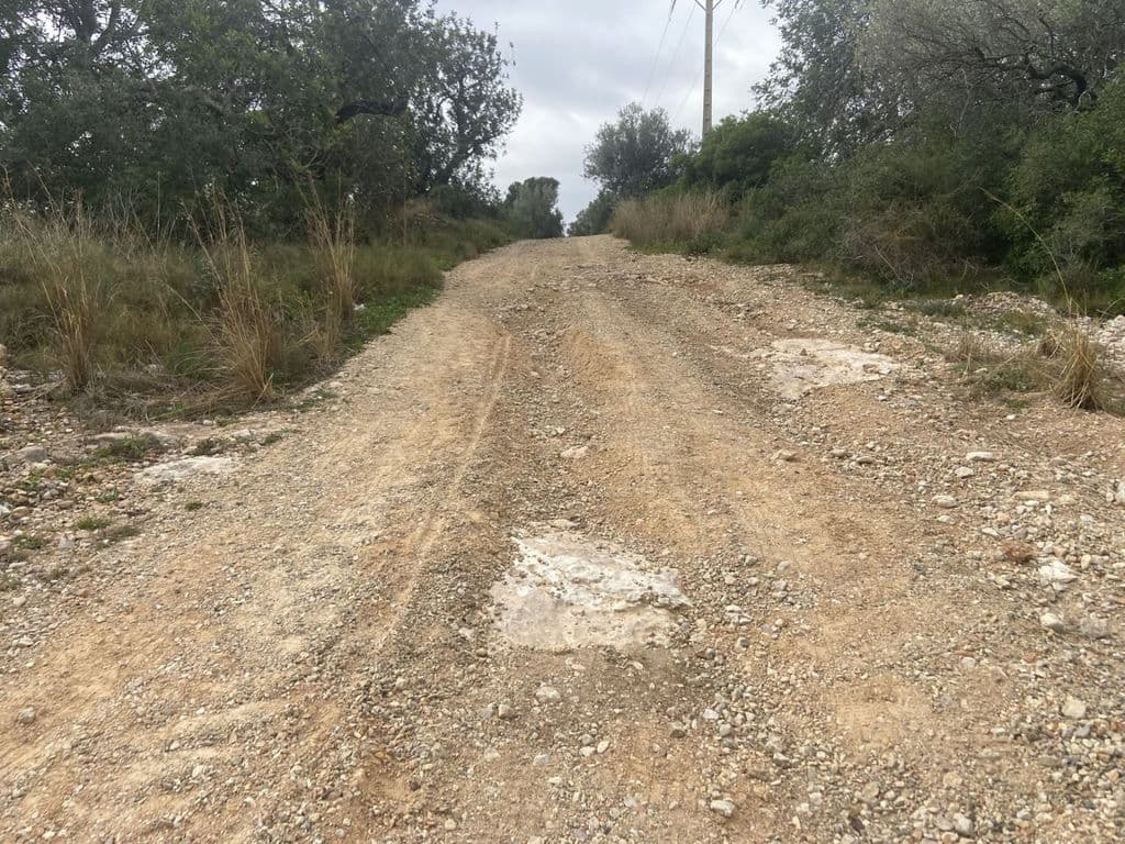 WhatsApp Image 2026-01-28 at 10.44.54.jpeg