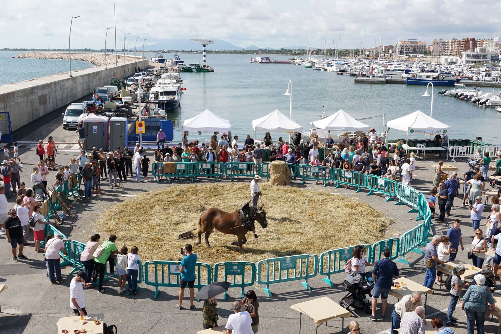 L’Ampolla celebra la XXIII Festa de la Sega amb més de 1.500 tiquets de degustació venuts i dona el tret de sortida a les Jornades Gastronòmiques de l’Arròs