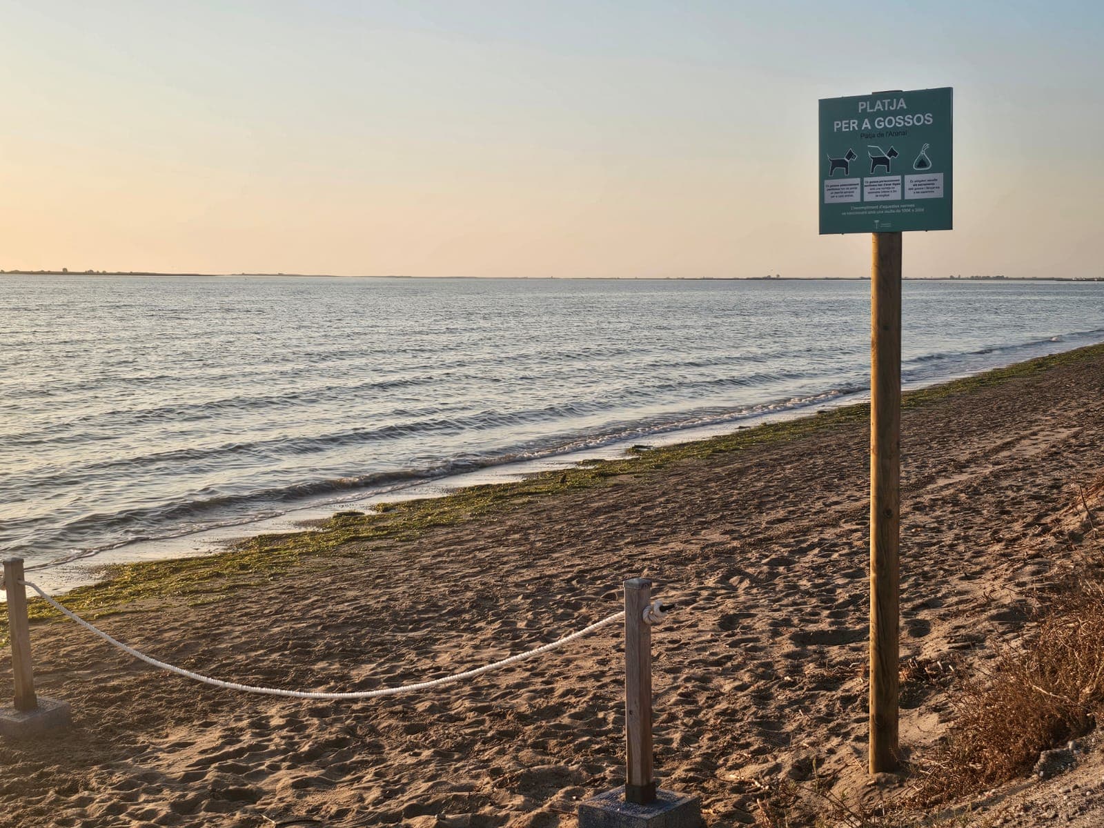 L'Ampolla amplia i trasllada la zona per a gossos de la platja de l'Arenal per millorar la convivència